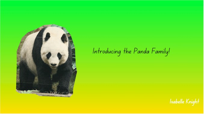 Introducing the Panda Family!